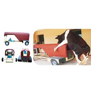 Dummy Cow veterinary AI and livestock training simulator