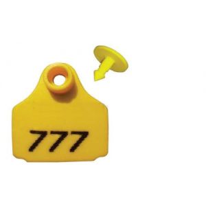 EAR TAG SMALL 2